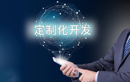 软件开发