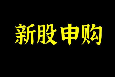 新股申购协议书模板